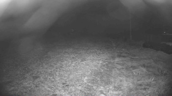 Snímek    20.11.2025 v 23:30