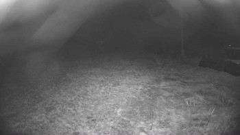 Snímek    21.11.2025 v 04:45