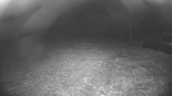 Snímek    22.11.2025 v 00:15