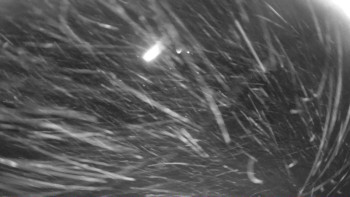 Snímek 23.11.2025 v 04:45