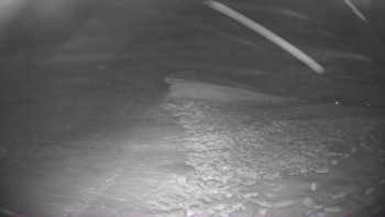 Lyžařský vlek Karlova Studánka