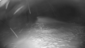 Lyžařský vlek Karlova Studánka