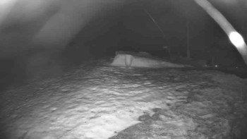 Lyžařský vlek Karlova Studánka