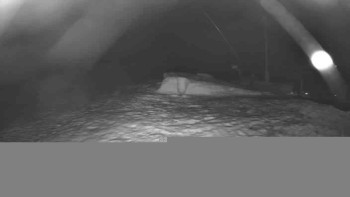 Lyžařský vlek Karlova Studánka