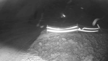 Lyžařský vlek Karlova Studánka