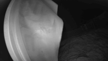 Lyžařský vlek Karlova Studánka