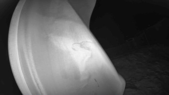 Lyžařský vlek Karlova Studánka