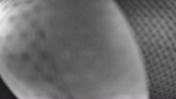 Lyžařský vlek Karlova Studánka