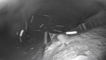 Lyžařský vlek Karlova Studánka