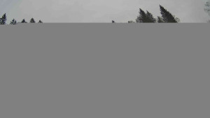 Lyžařský vlek Karlova Studánka - Sjezdovka - 16.2.2026 v 11:45