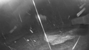 Lyžařský vlek Karlova Studánka