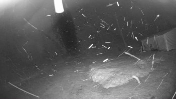 Lyžařský vlek Karlova Studánka