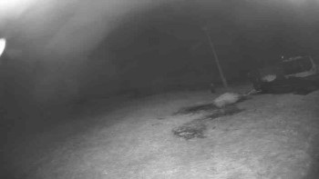 Lyžařský vlek Karlova Studánka