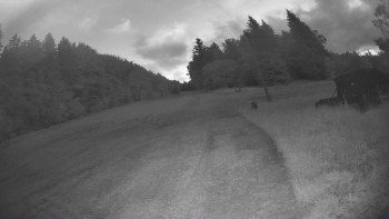 Lyžařský vlek Karlova Studánka