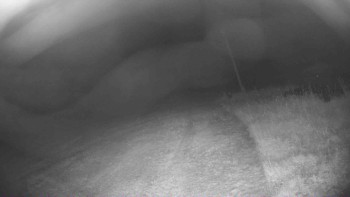 Lyžařský vlek Karlova Studánka