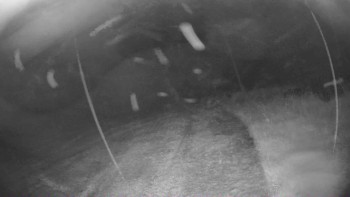 Lyžařský vlek Karlova Studánka