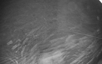 Snímek    14.9.2025 v 04:30