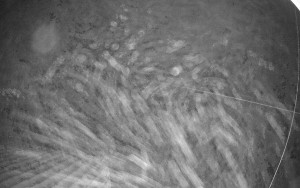 Sport areál České Petrovice - Sjezdovka B - 14.11.2025 v 03:45