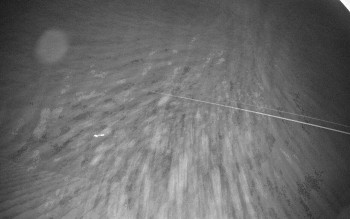 Sport areál České Petrovice