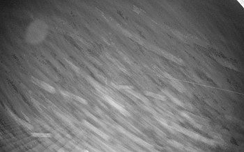 Sport areál České Petrovice