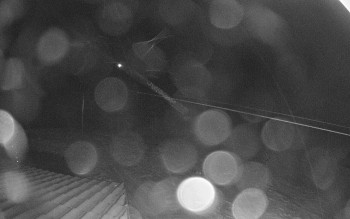 Sport areál České Petrovice