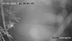 Sjezdovka Svitavská