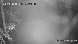 Sjezdovka Svitavská