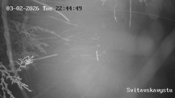 Sjezdovka Svitavská