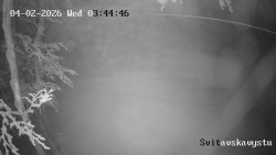 Sjezdovka Svitavská