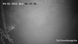 Sjezdovka Svitavská