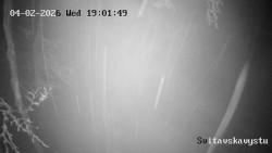 Sjezdovka Svitavská