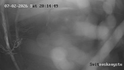 Sjezdovka Svitavská