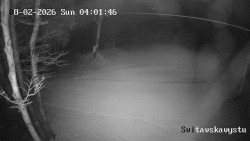 Sjezdovka Svitavská