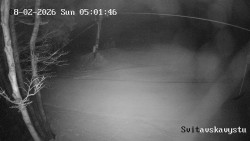 Sjezdovka Svitavská