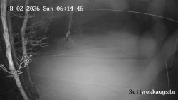 Sjezdovka Svitavská