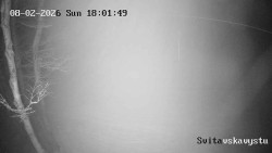 Sjezdovka Svitavská