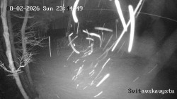 Sjezdovka Svitavská