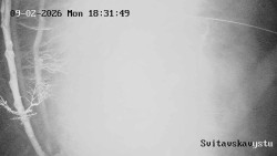 Sjezdovka Svitavská