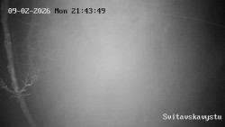 Sjezdovka Svitavská