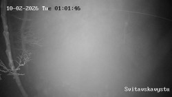 Sjezdovka Svitavská