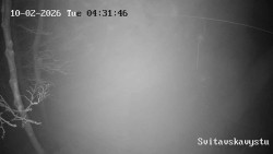 Sjezdovka Svitavská