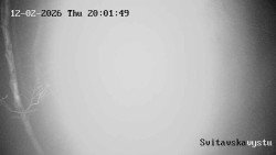 Sjezdovka Svitavská