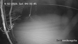 Sjezdovka Svitavská