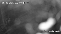 Sjezdovka Svitavská