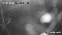 Sjezdovka Svitavská