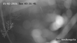 Sjezdovka Svitavská