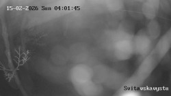 Sjezdovka Svitavská