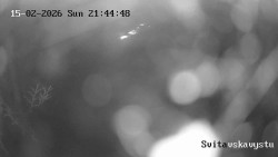 Sjezdovka Svitavská