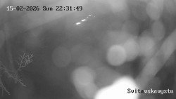 Sjezdovka Svitavská