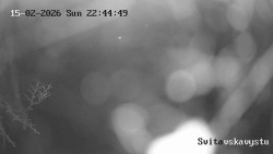 Sjezdovka Svitavská